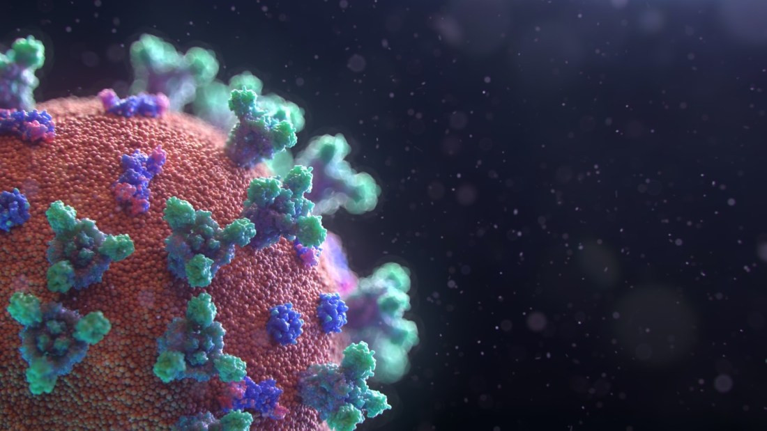 SARS-CoV-2 : Origine et Structure Générale du Virus
