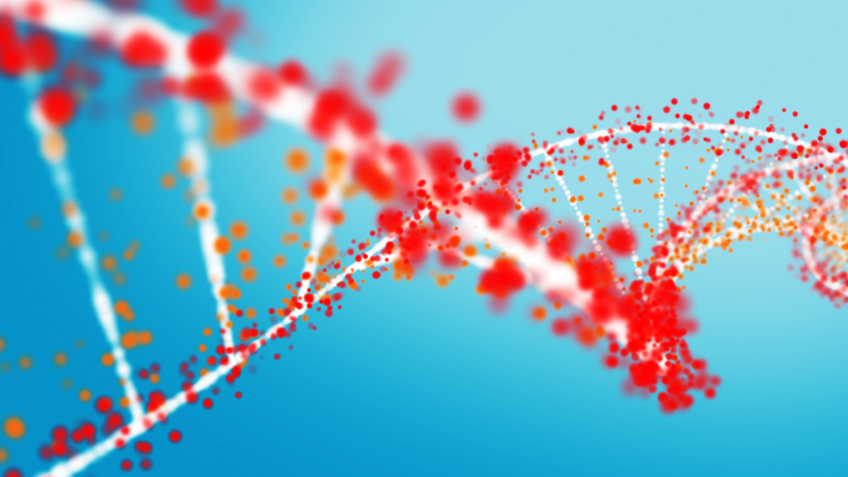 Multi colored DNA strand