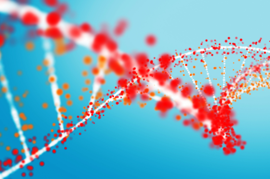 Multi colored DNA strand