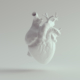 Human Heart Pure White Anatomical Model 3d illustration render